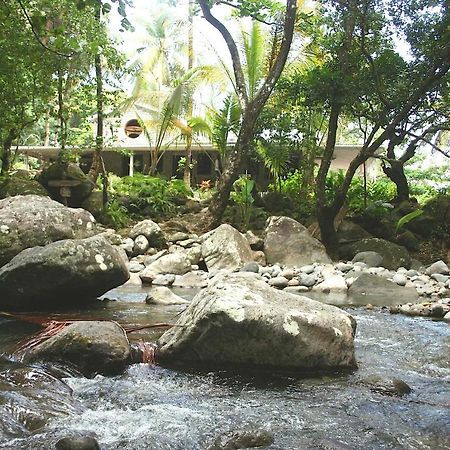 Villa Citrus Creek Plantation La Plaine Esterno foto