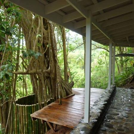 Villa Citrus Creek Plantation La Plaine Esterno foto