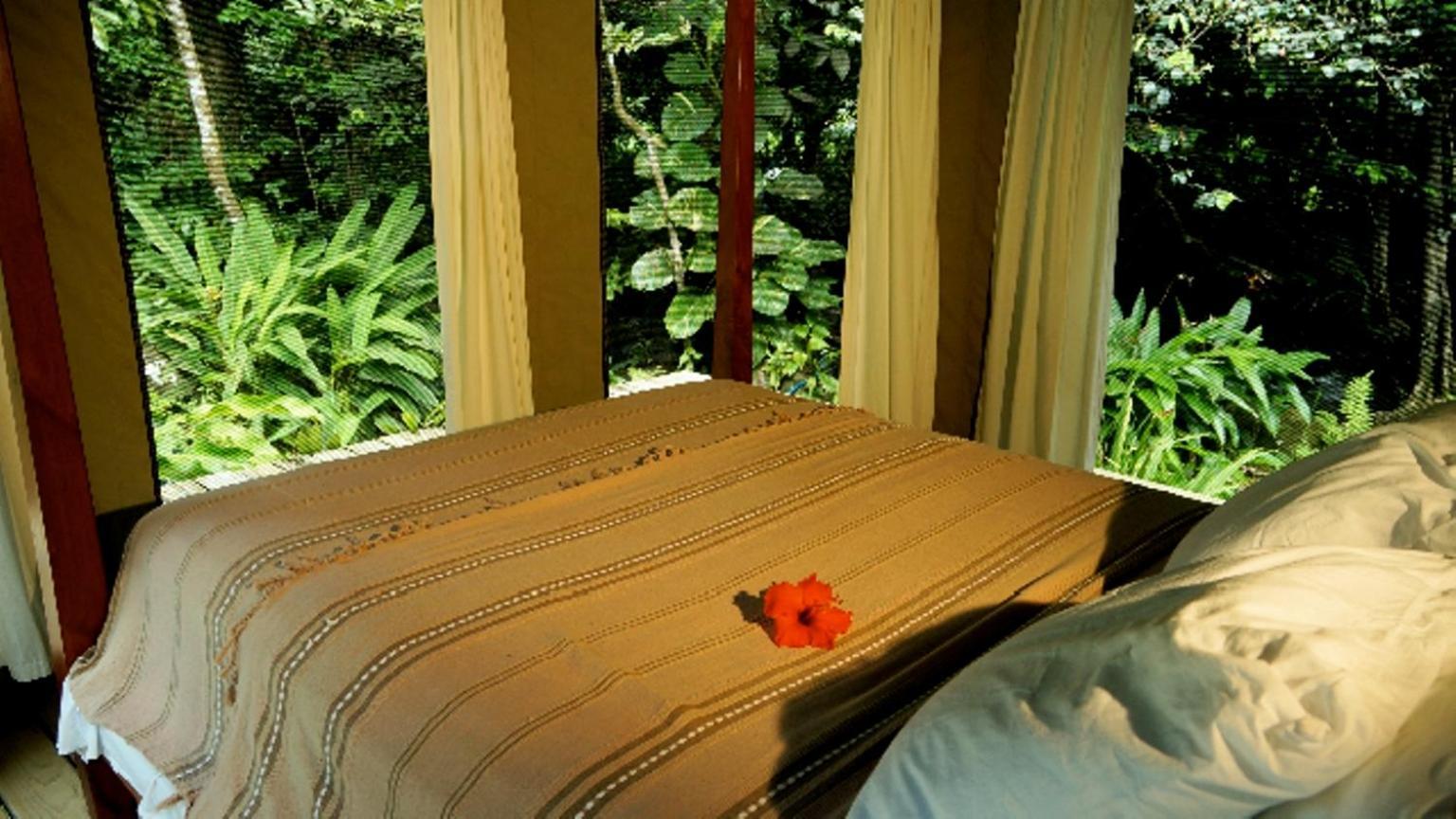 Villa Citrus Creek Plantation La Plaine Esterno foto