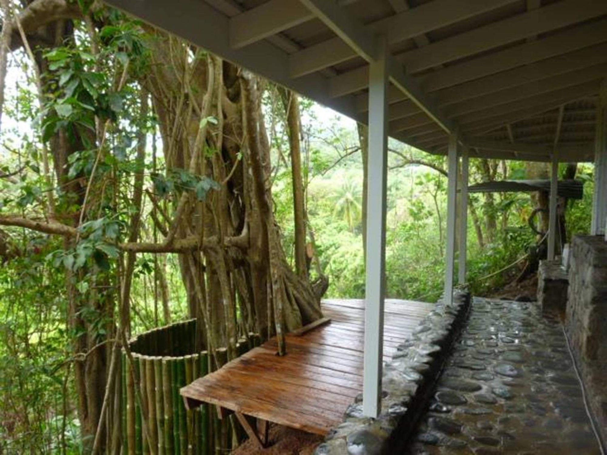 Villa Citrus Creek Plantation La Plaine Esterno foto