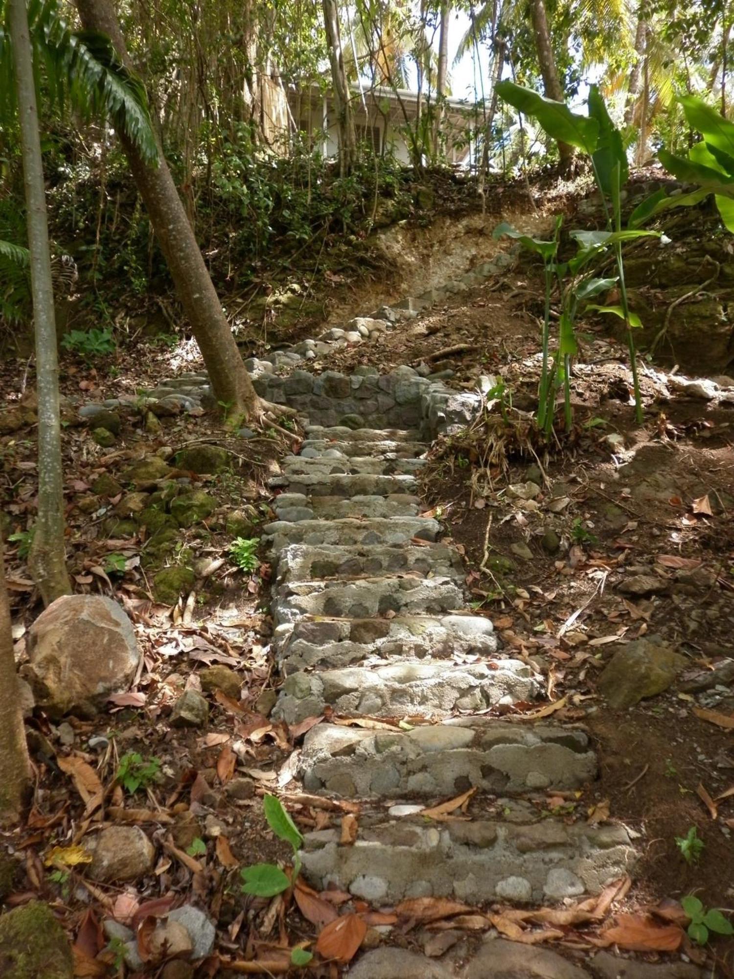 Villa Citrus Creek Plantation La Plaine Esterno foto