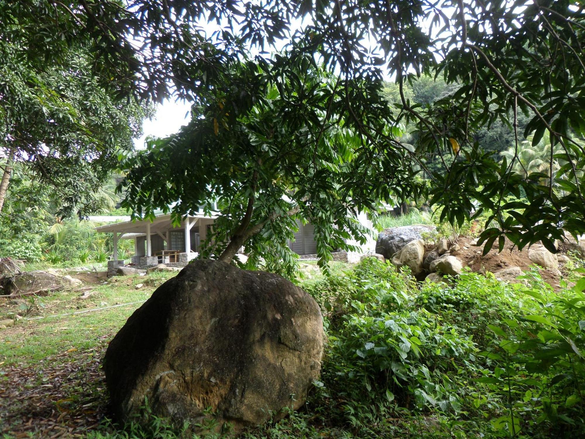 Villa Citrus Creek Plantation La Plaine Camera foto
