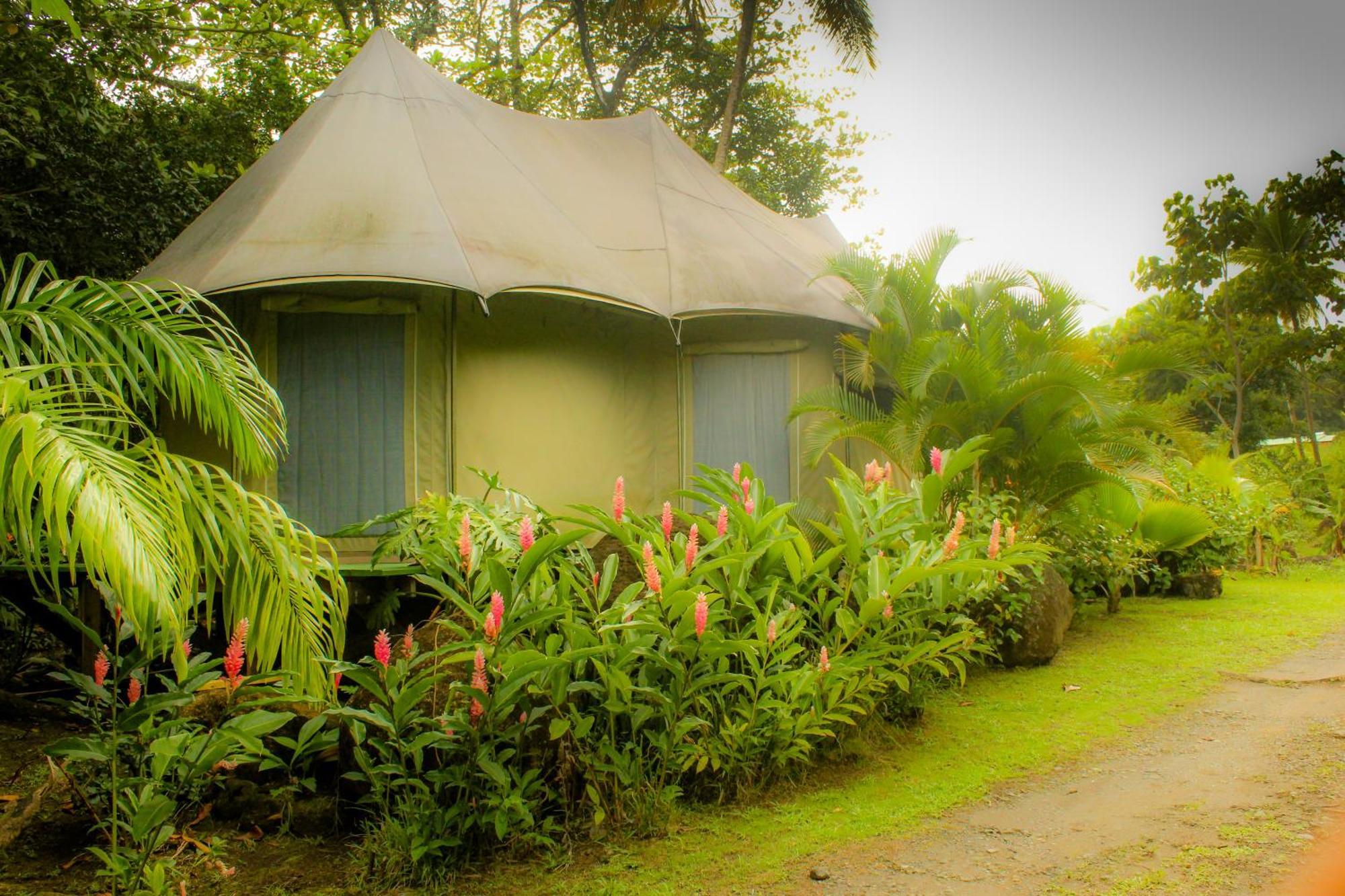 Villa Citrus Creek Plantation La Plaine Camera foto
