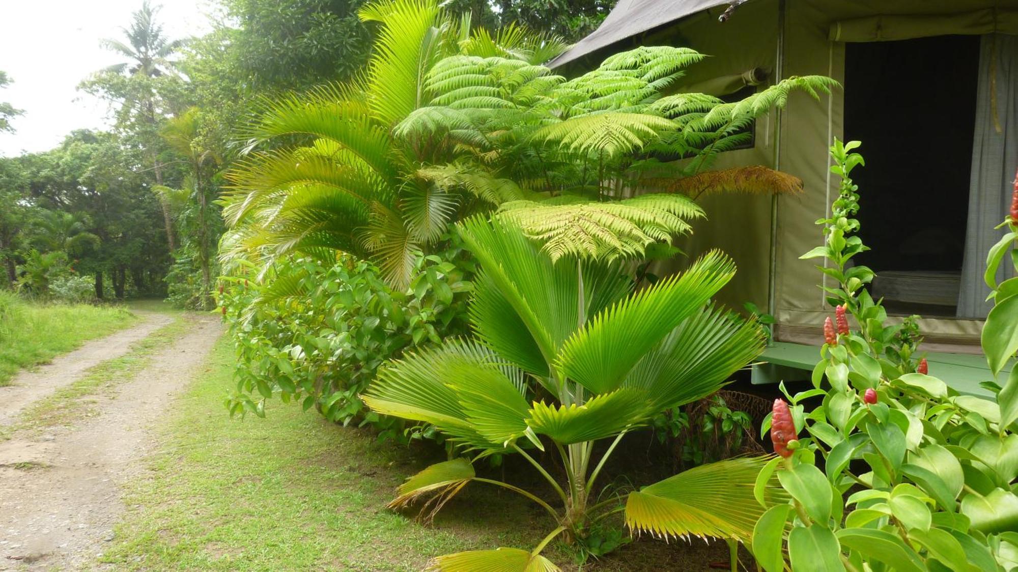 Villa Citrus Creek Plantation La Plaine Camera foto
