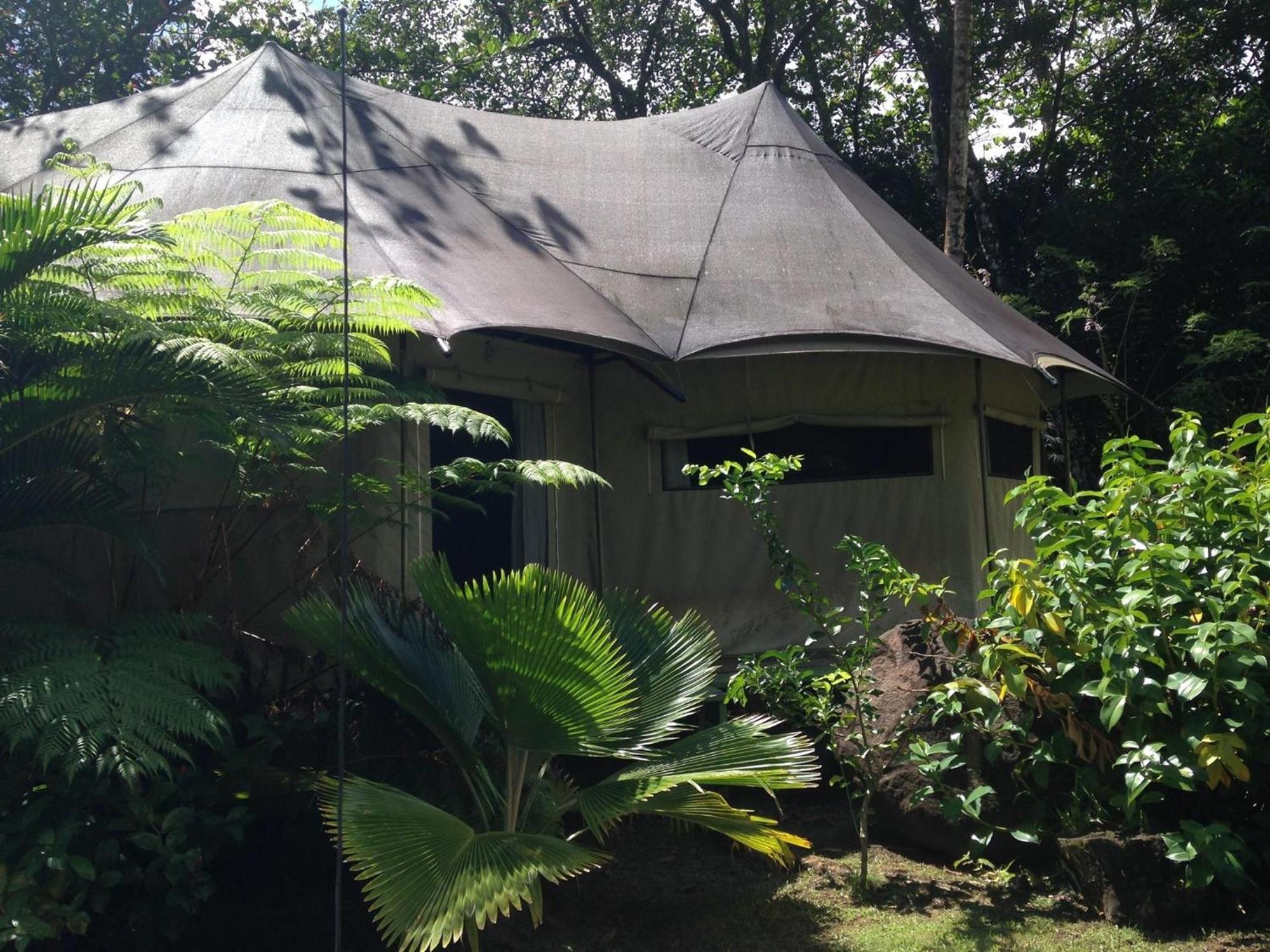 Villa Citrus Creek Plantation La Plaine Camera foto