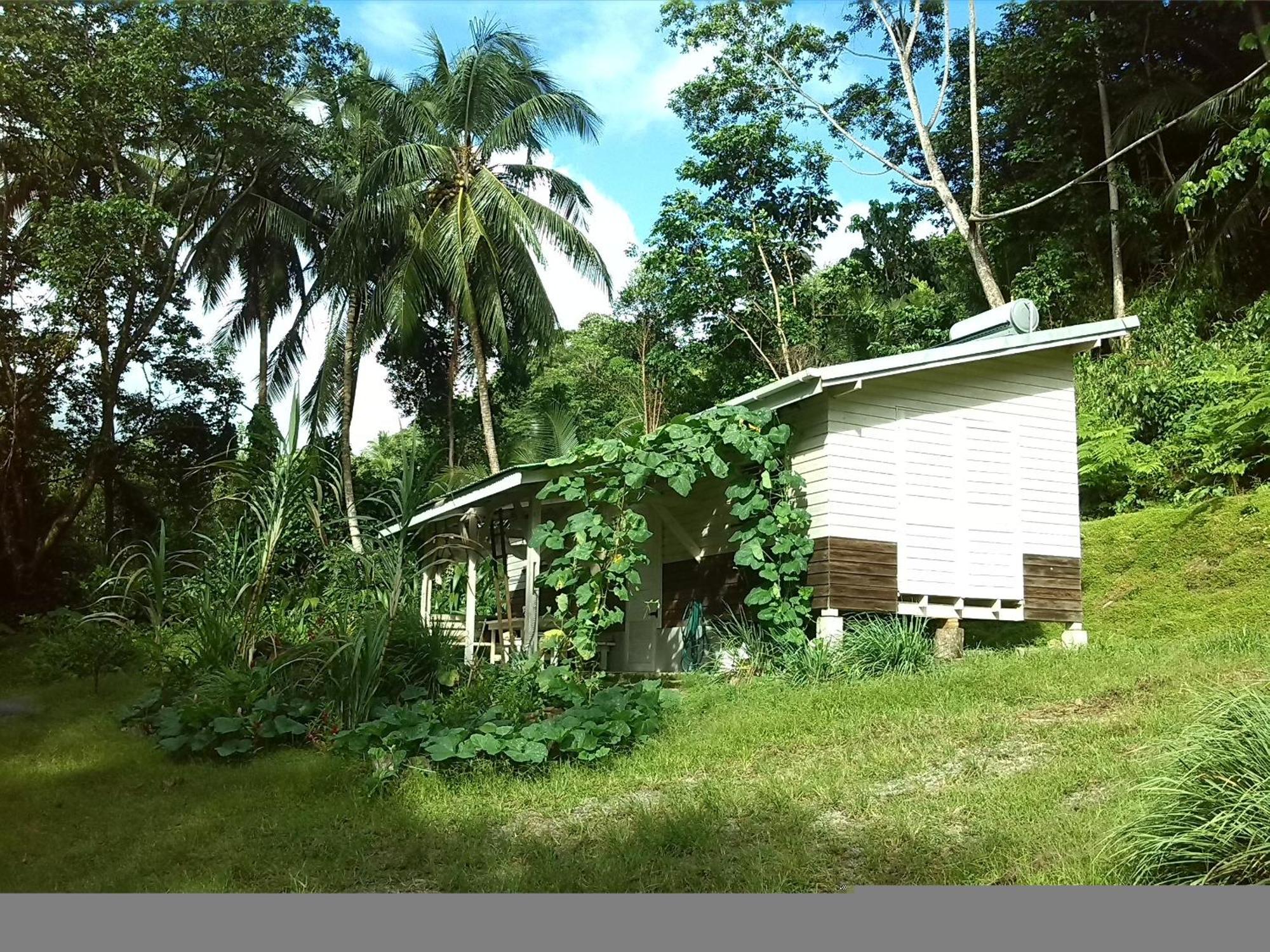 Villa Citrus Creek Plantation La Plaine Camera foto