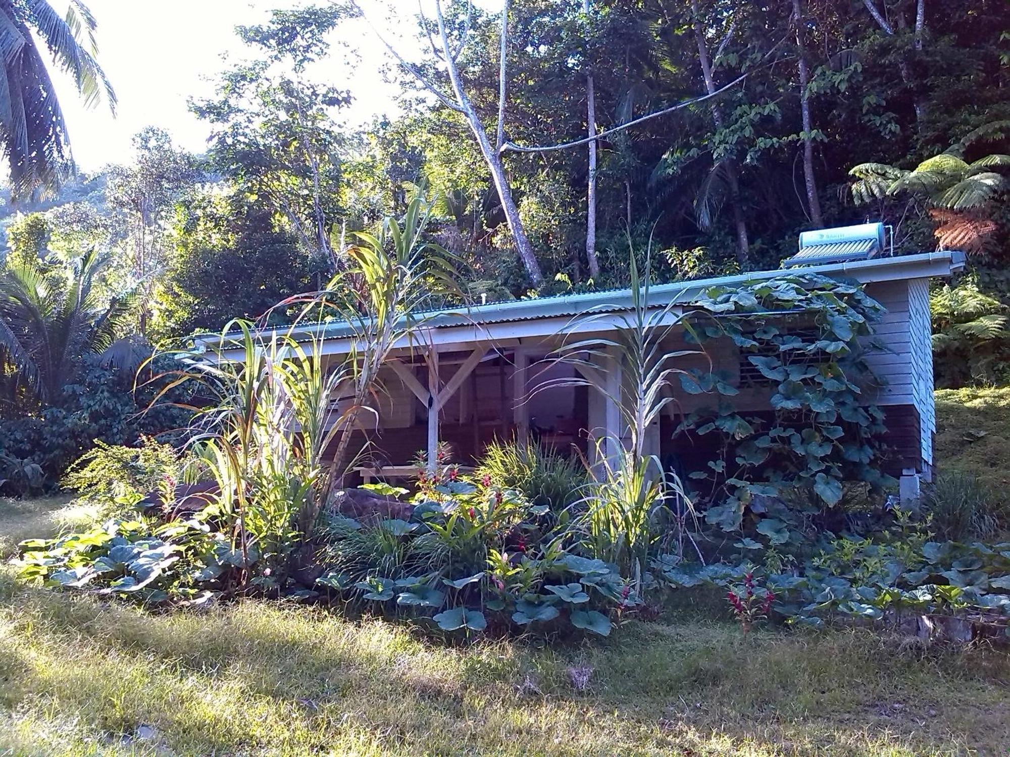 Villa Citrus Creek Plantation La Plaine Camera foto