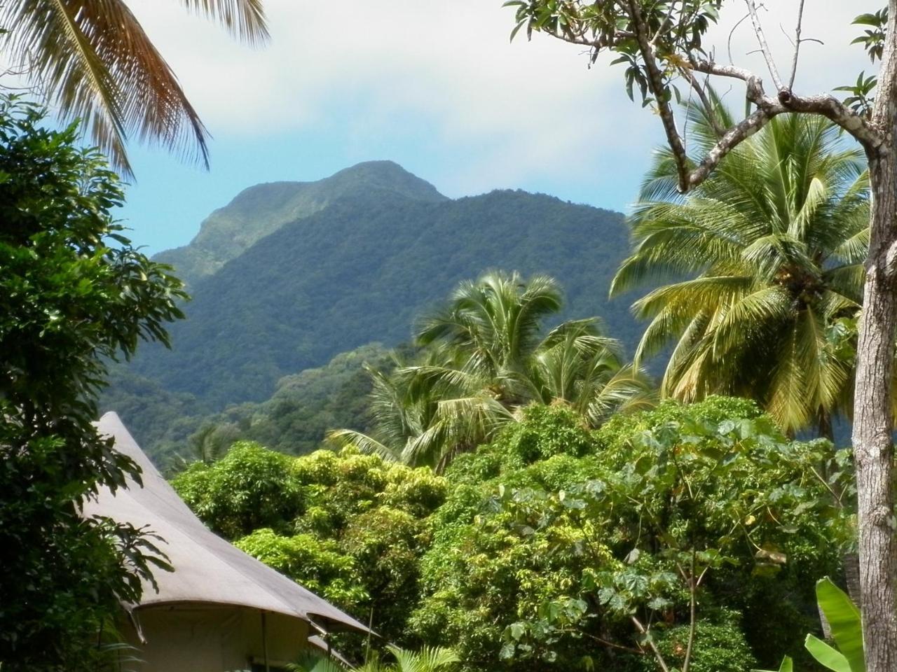 Villa Citrus Creek Plantation La Plaine Esterno foto