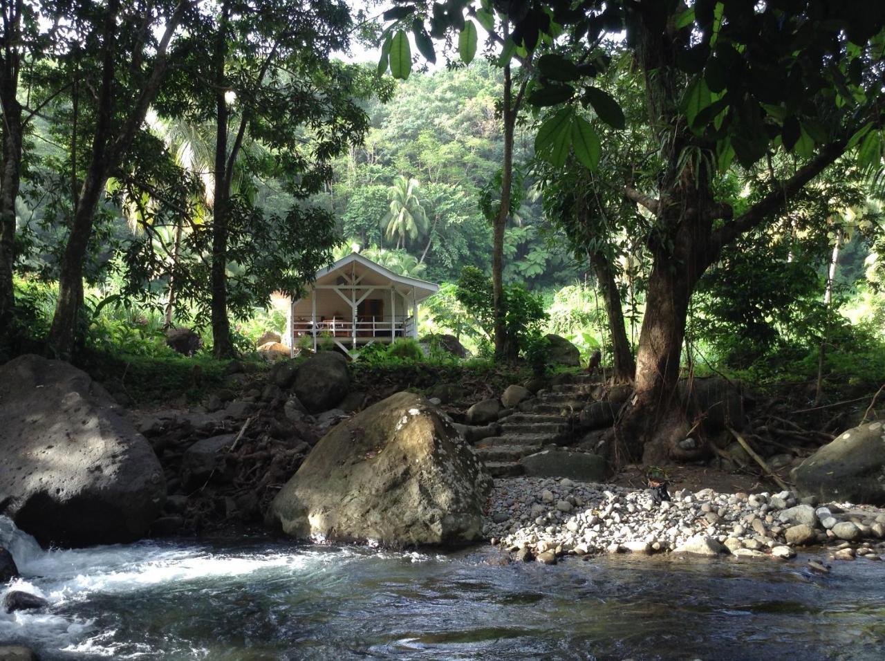 Villa Citrus Creek Plantation La Plaine Esterno foto