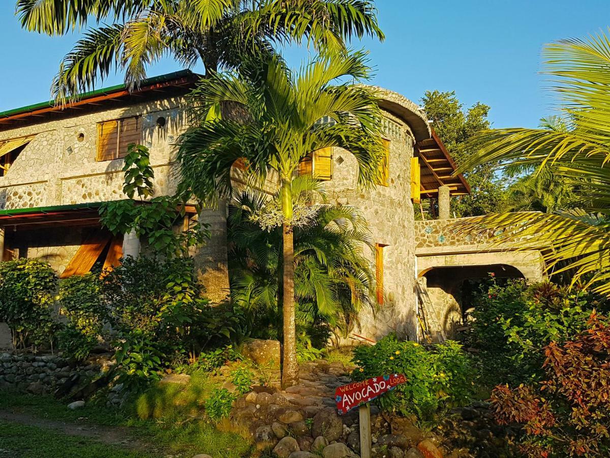 Villa Citrus Creek Plantation La Plaine Esterno foto