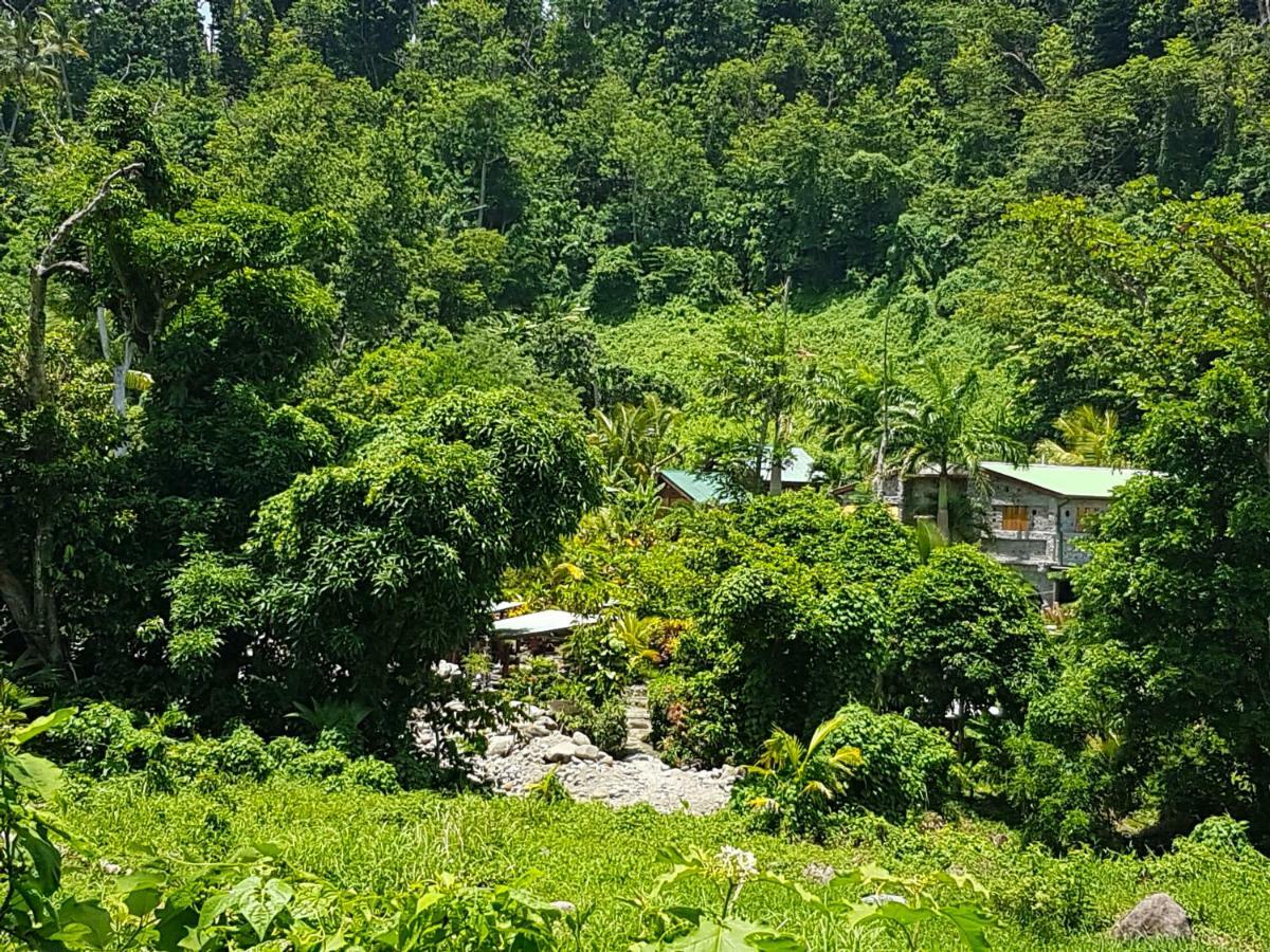 Villa Citrus Creek Plantation La Plaine Esterno foto